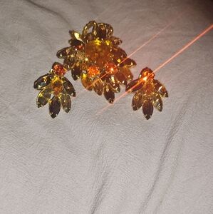 Vintage Broach &Earrings